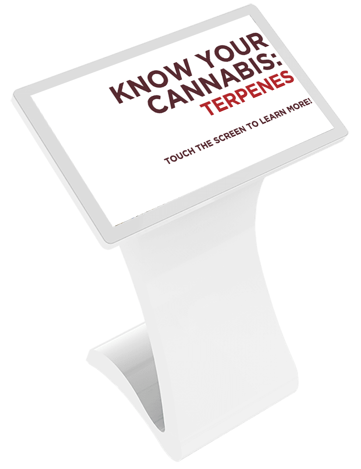 interactive touchscreen table