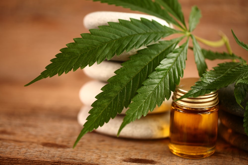 Hempire interactive trade show kiosks 